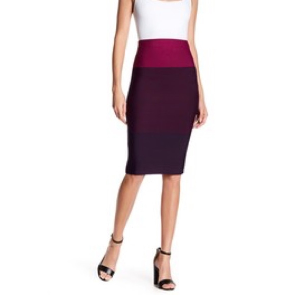 BCBG Bodycon Colorblock Skirt. Never worn!